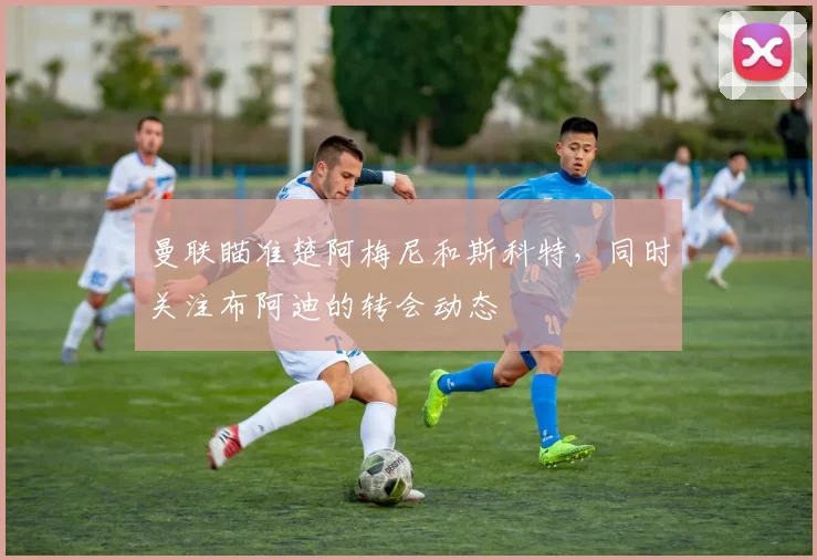 曼联瞄准楚阿梅尼和斯科特，同时关注布阿迪的转会动态